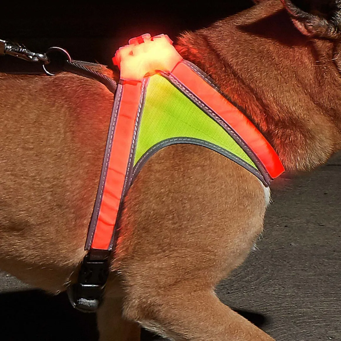 Noxgear dog clearance harness