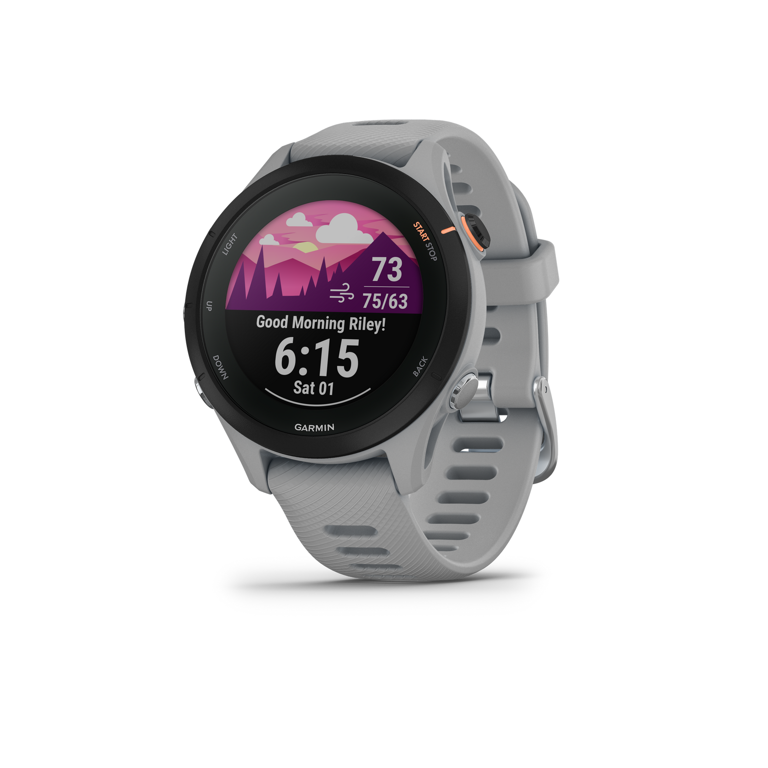 GARMIN Forerunner 255s POWDER GREY
